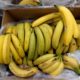 Цены снизятся: бананы предложили признать социально значимым продуктом