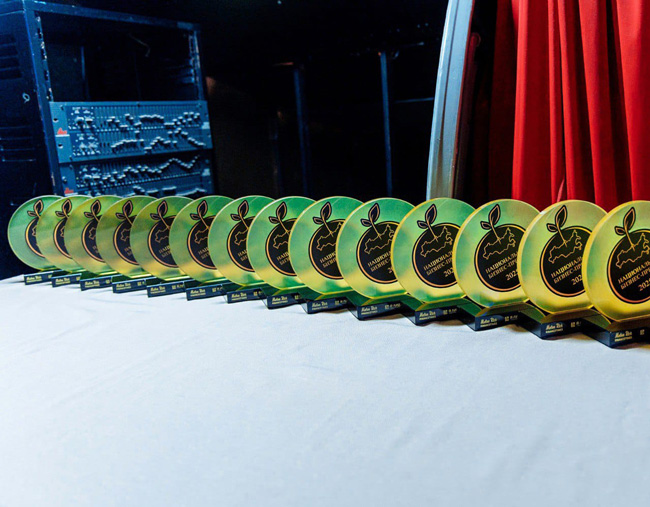 Финансовый эксперт Виктория Песова стала лауреатом Национальной бизнес-премии: с ней руководители понимают, куда им двигаться