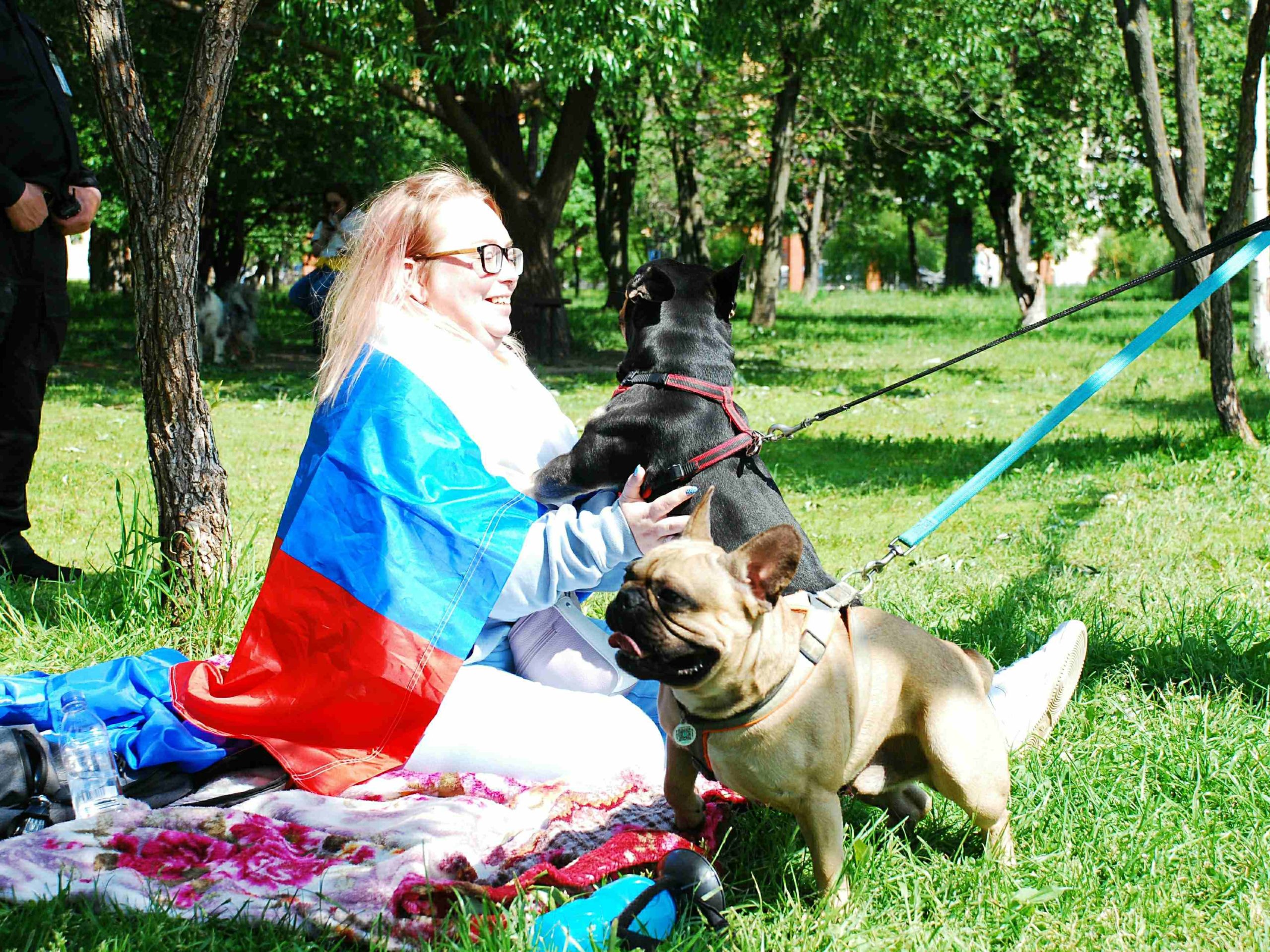 Россиянам полностью запретили усыплять домашних животных