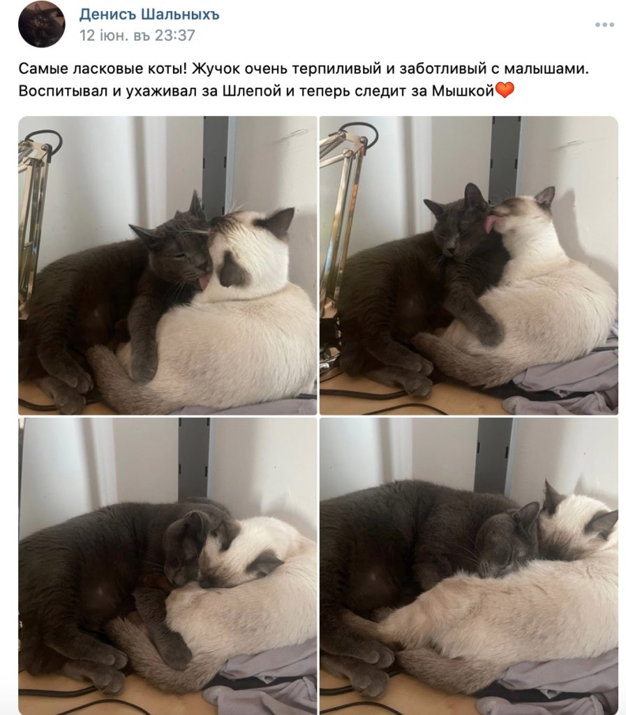 Долго лизать киску