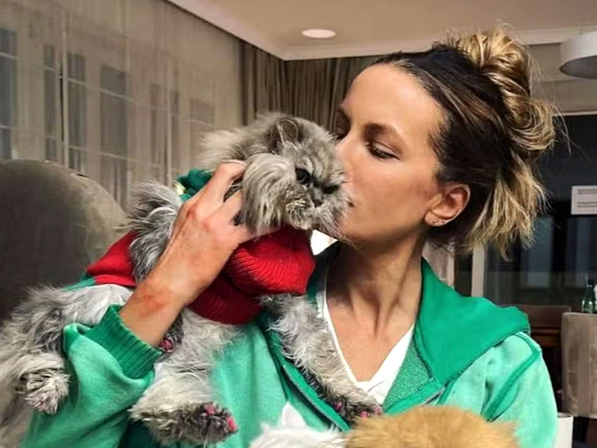 Бекинсейл увековечила своего кота