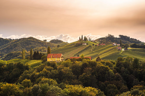 Тоскана - главный винодельческий регион Италии. Скоро конкуренцию прославленным местным винам «Кьянти» и «Монтепульчано» составит сухое красное «Ашот».