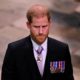 Без пафоса и протоколов: принц Гарри в одиночестве отметил первую годовщину смерти Елизаветы II