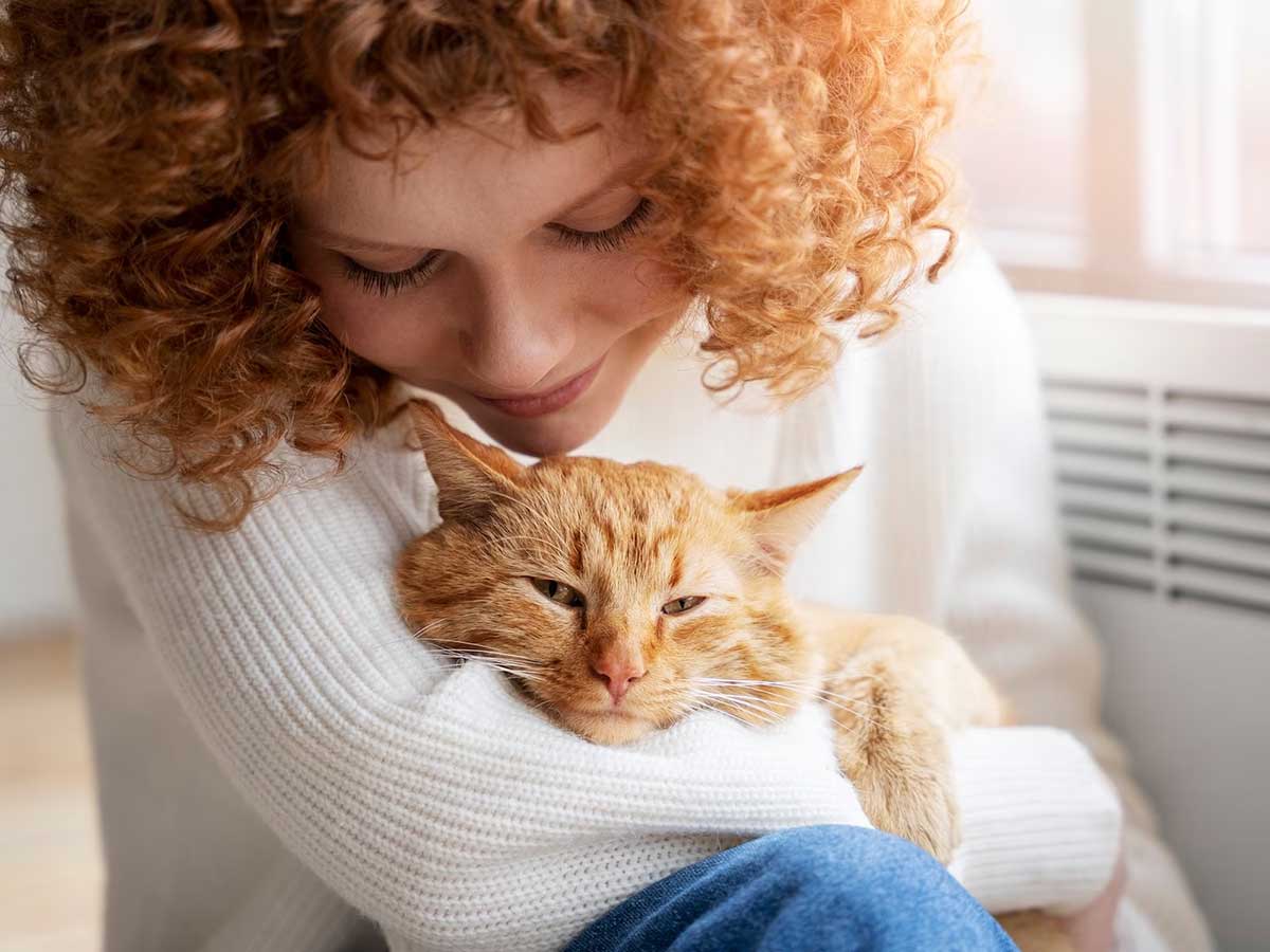 Животные уходят на радугу?