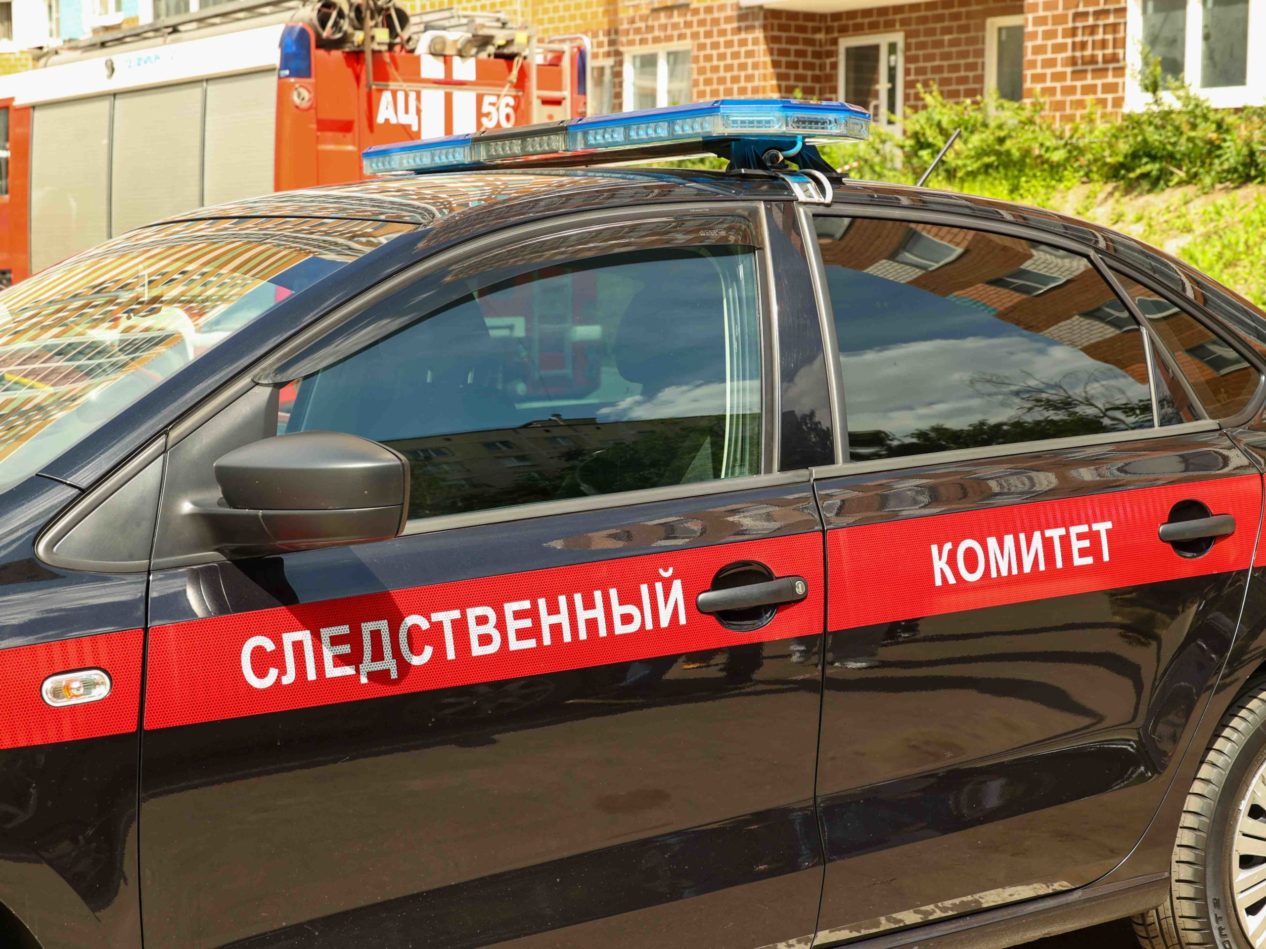 Заколоты и обезглавлены: подробности жутких убийств в парке на севере Москвы