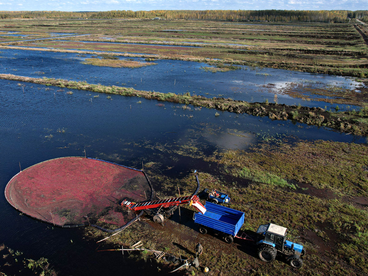 Чиновники Костромской области несут сор в избы