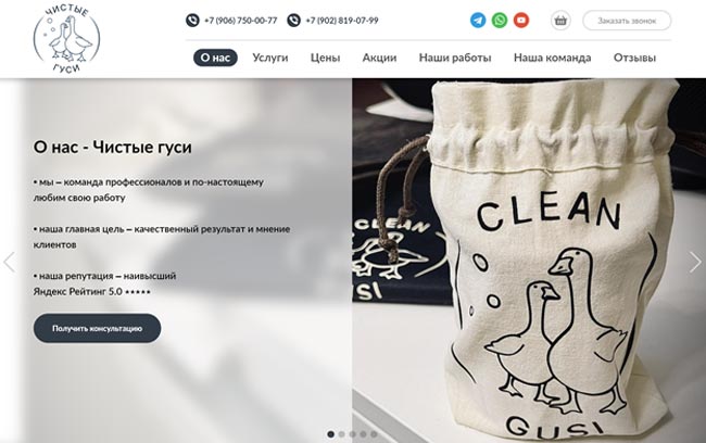 Чистые-гуси