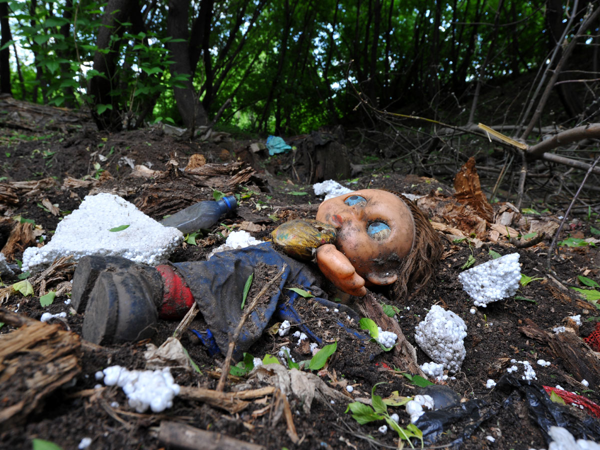 Костромские власти хотят завалить экологически чистый лес мусором