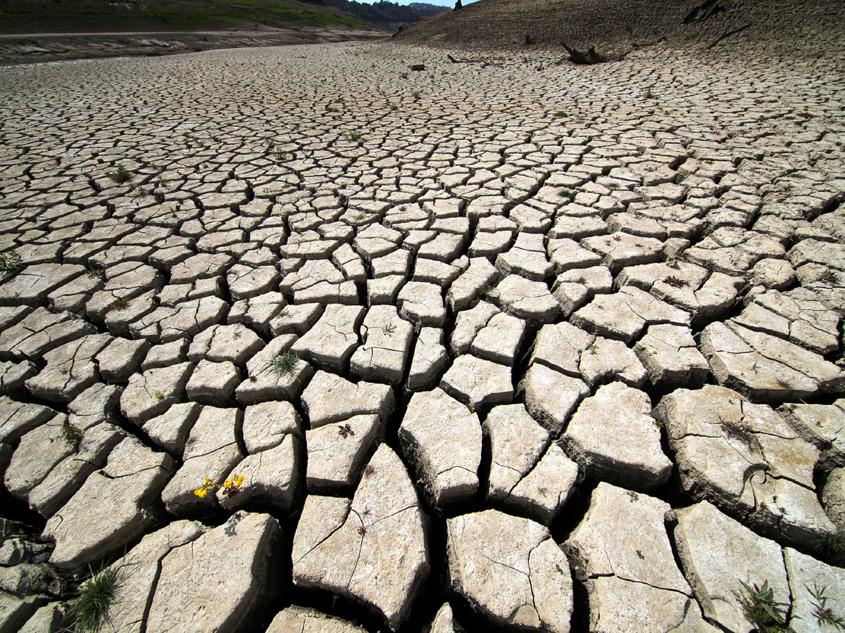 Засуха в Калифорнии продолжается не один год
