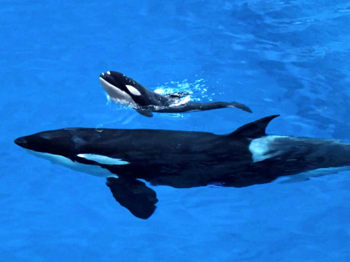 Ная с дочерью