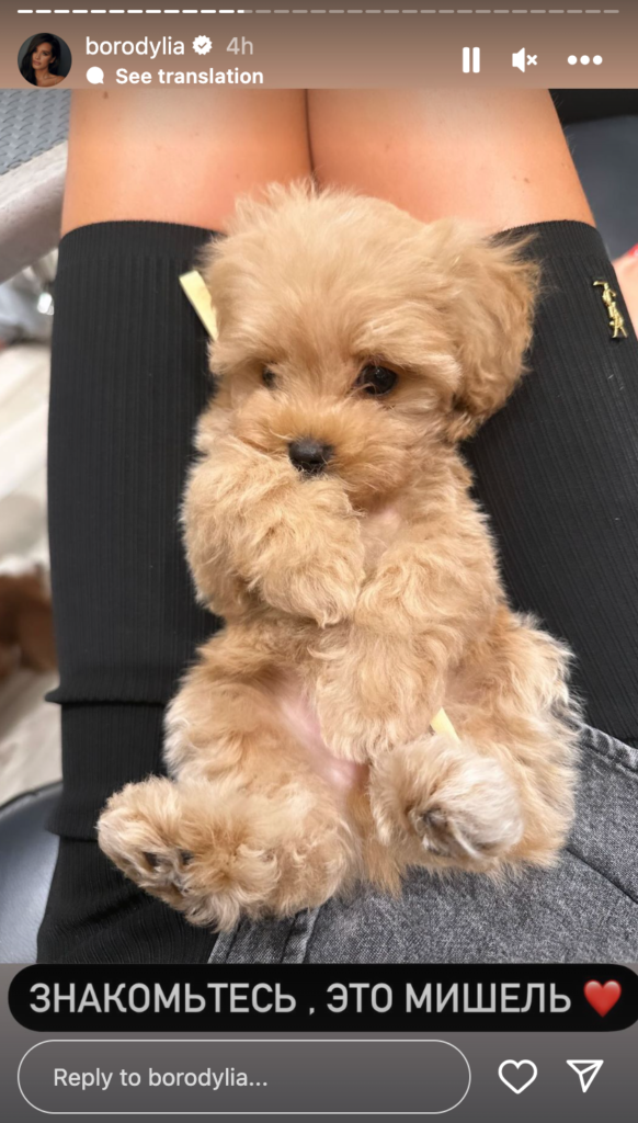 «Сообщившая