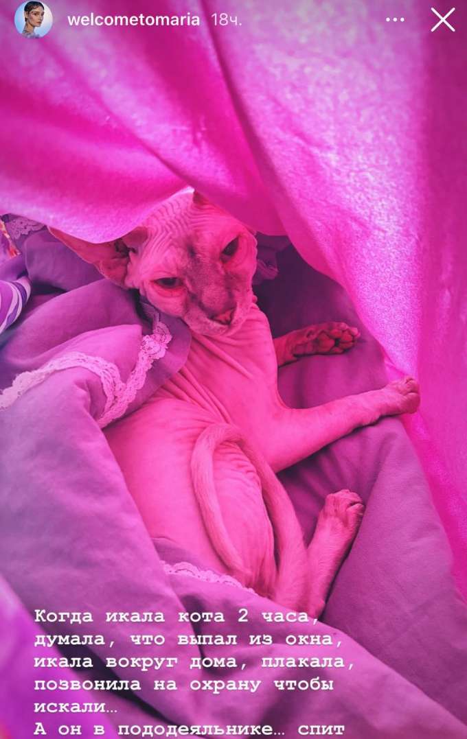 «Выпал из окна»: расплакавшаяся Кончаловская рассказала о несчастье в семье