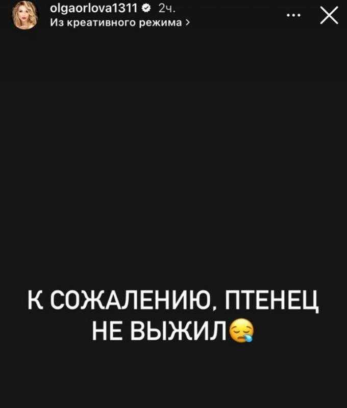 «Я так надеялась ему помочь»: убитая горем Орлова сообщила о внезапной смерти
