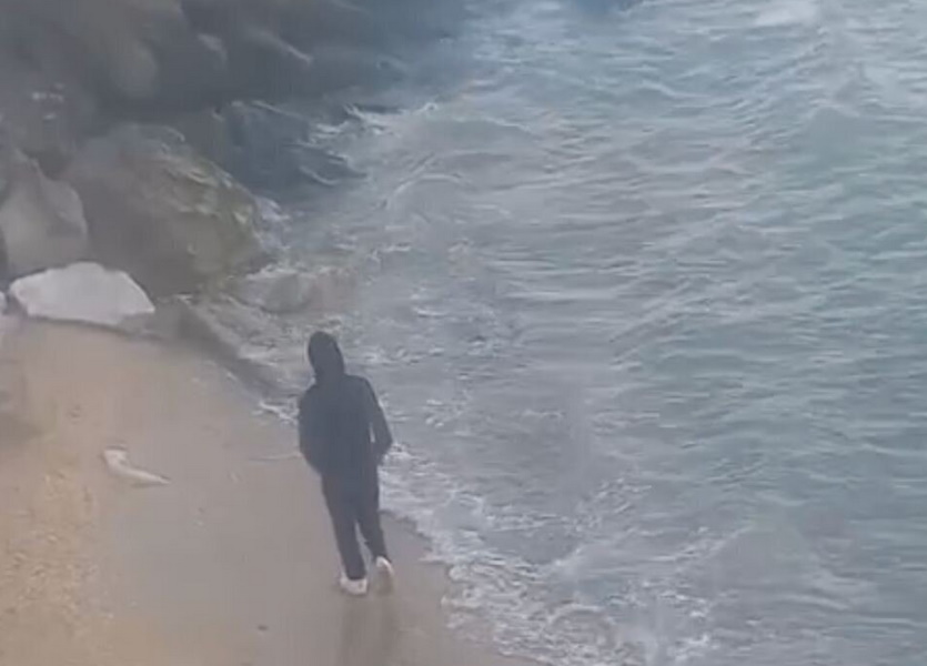  «Ее ни то кто-то стащил, или она сама к нему пошла»: мальчик-Ванга увидел исчезнувшую Цомартову живой