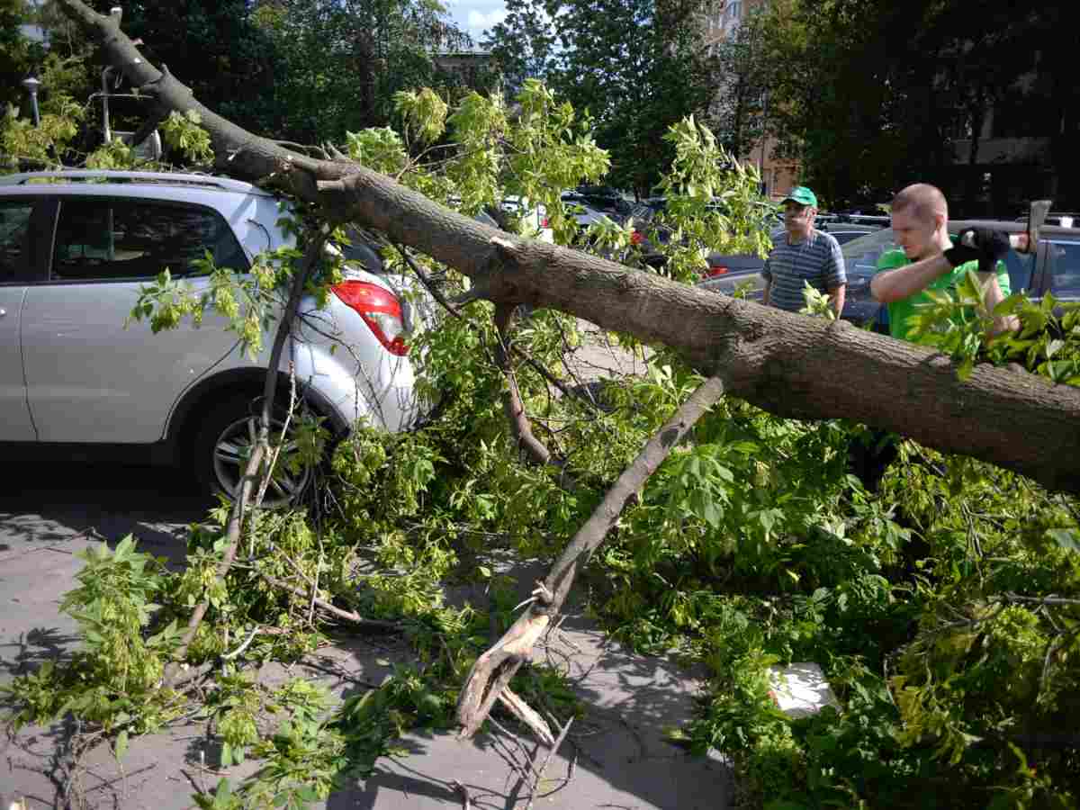Ураган «Эдгар» в Москве унес две жизни и поставил под угрозу десятки других: жуткие кадры очевидцев