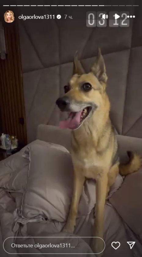 «Всю трясет, глаза бешеные»: Ольга Орлова показала себя после бессонной ночи