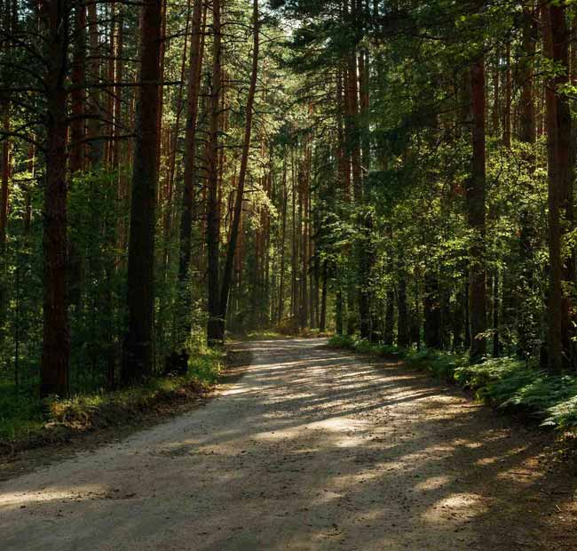 На берегу Волги открылся уникальный энерго-отель «Ново-Окатово»