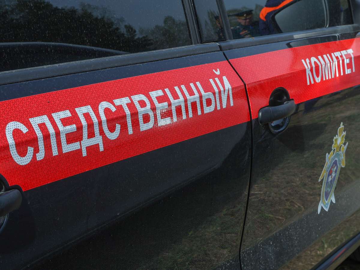 В Бердянске 14-летняя фанатка «битцевского маньяка» забила до смерти первоклассницу