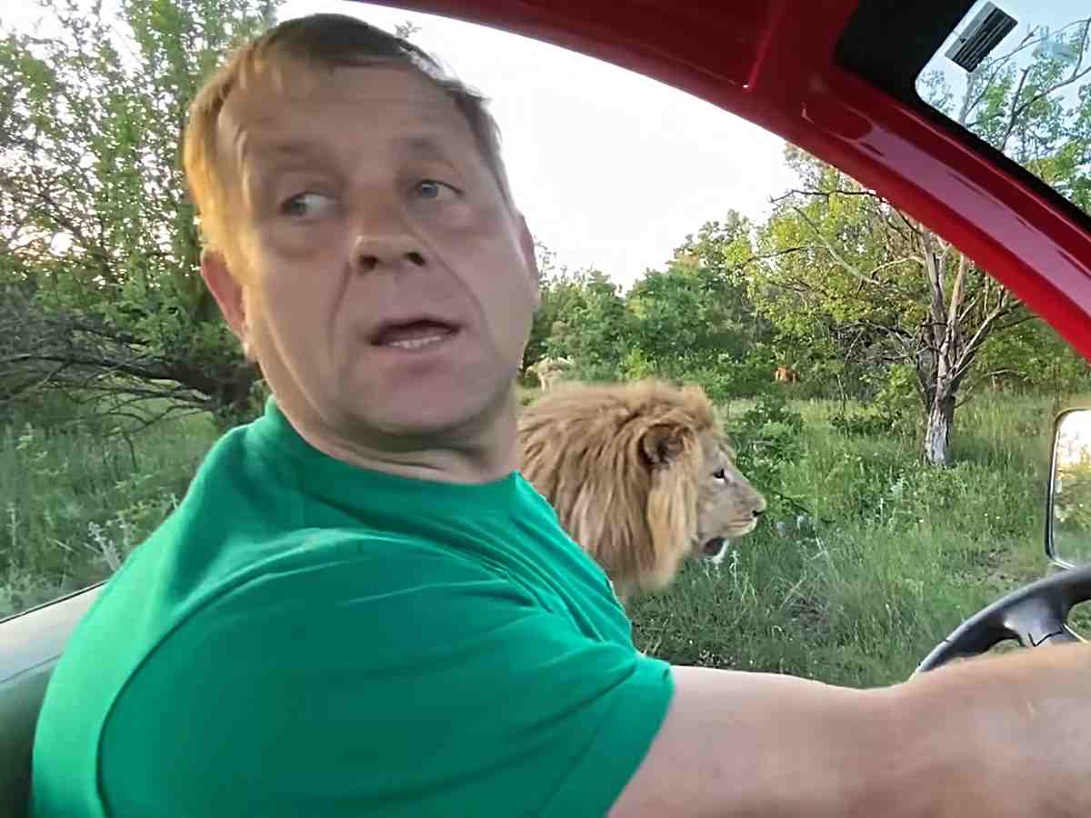 Олег Зубков «Лев как как игрушку таскал за шею»: всплыли жуткие подробности о нападении на Олега Зубкова в «Тайгане»
