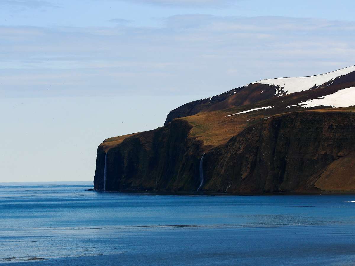 Где находятся Командорские острова и почему США хотят купить их у России за 15 миллиардов долларов