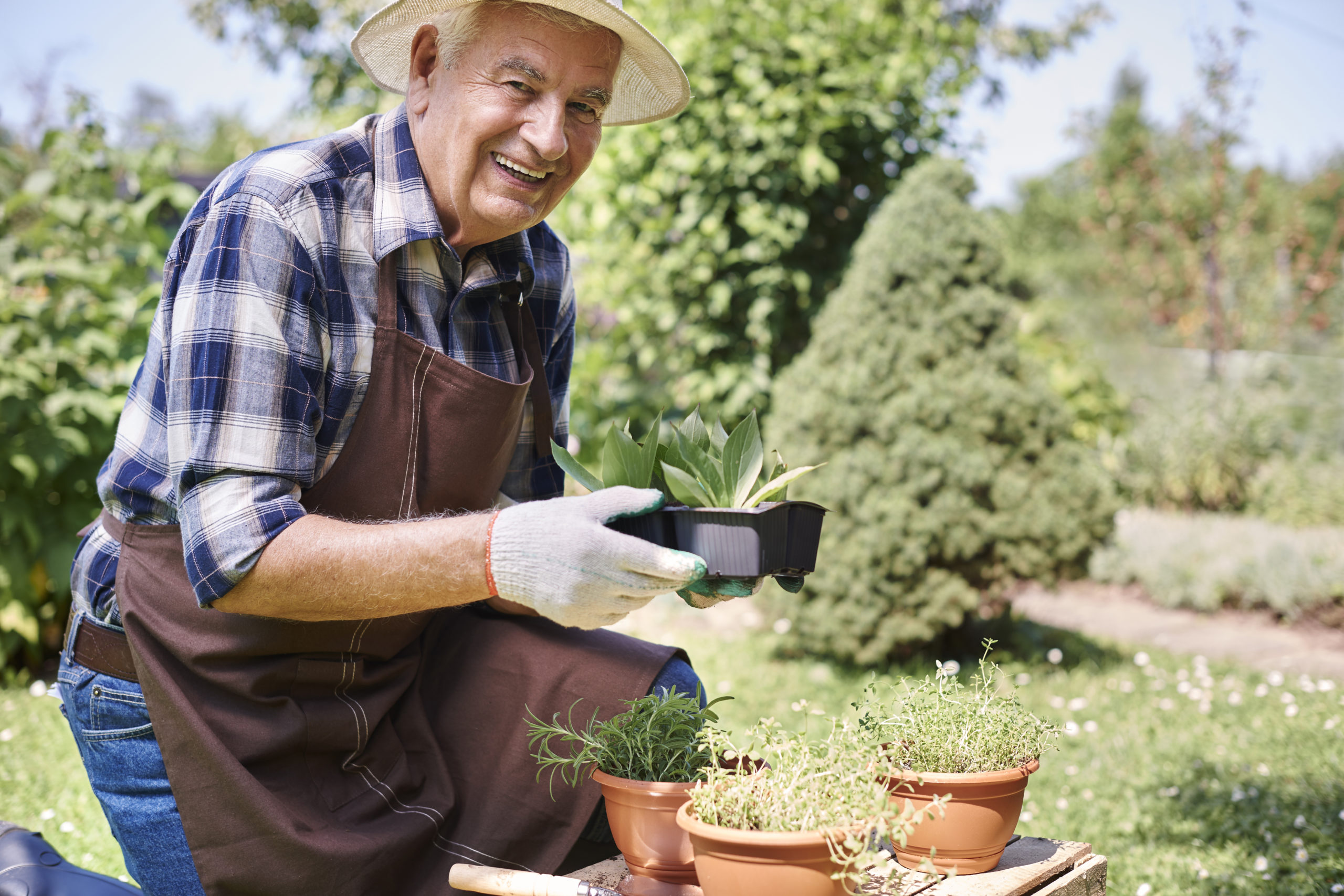 starsii-muzcina-rabotausii-v-pole-s-rasteniami