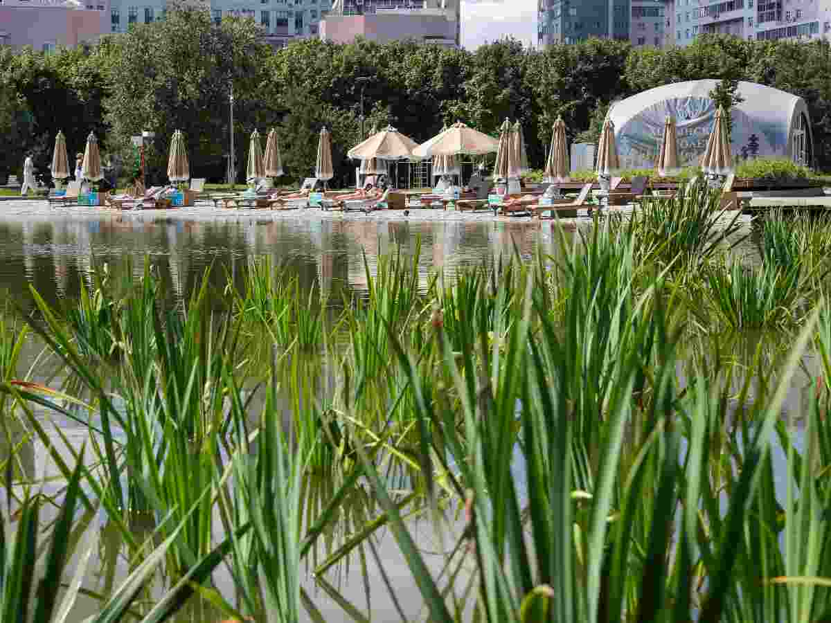 Лето вернется в начале осени? Какая погода будет в конце августа и в сентябре в Москве