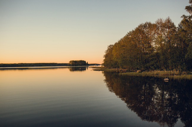 Тропы и бани вместо психологов: все больше москвичей выбирают эко-форматы терапии