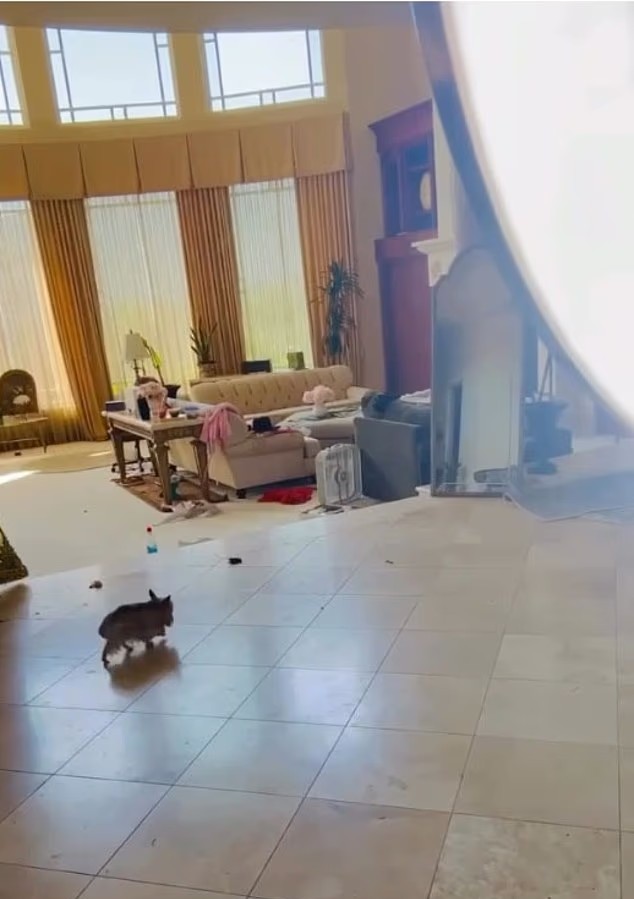 «Она улетела в маниакальный психоз»: Бритни Спирс живет в грязном доме с собачьими фекалиями и сгоревшей ванной