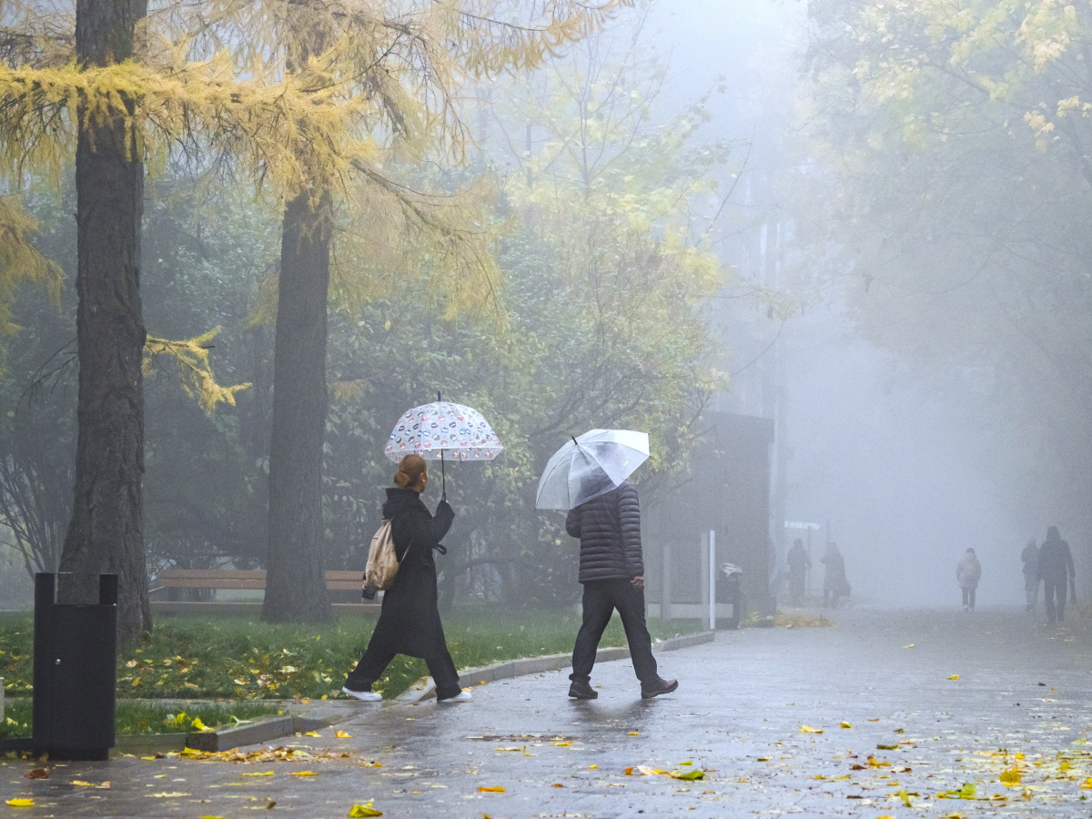 Радиационные туманы накрыли север Подмосковья