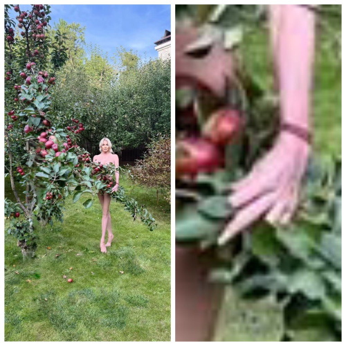  «Трех пальцев не хватает»: изуродованную руку Анастасии Волочковой показали крупным планом