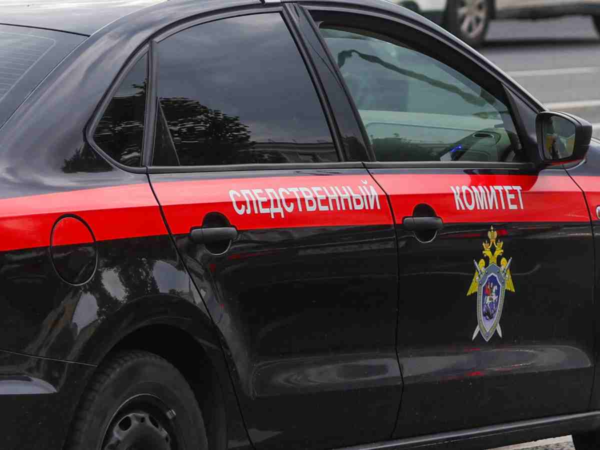 Боялась реакции родителей: 17-летняя девушка из Барнаула тайно выносила, родила, а затем зарезала малыша