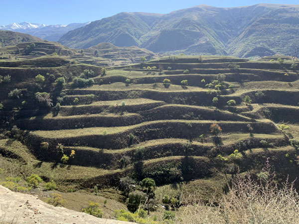 «Дагестан»