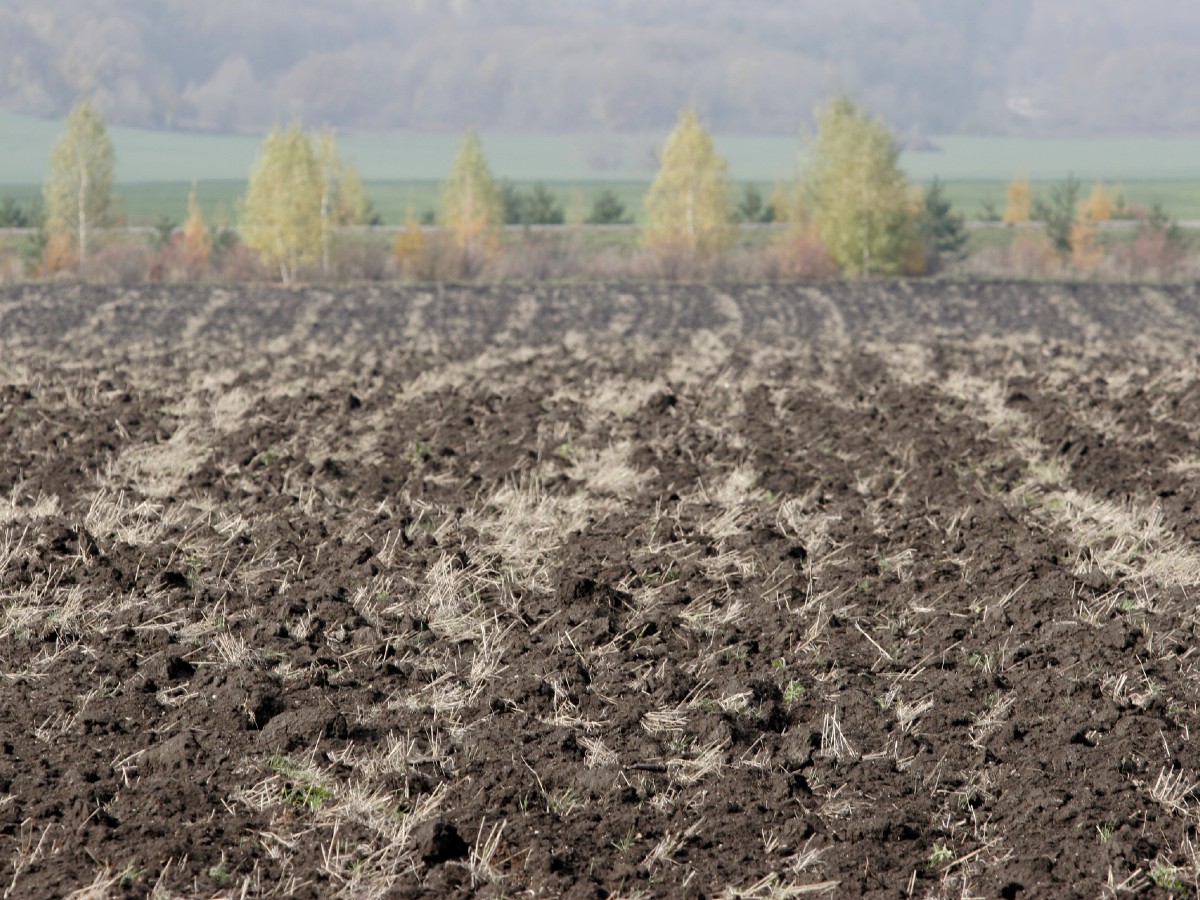 День Кондрата да Ипата: как 4 октября привлечь богатство и хороших женихов в дом