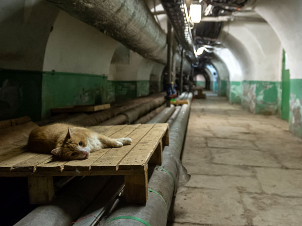 «Эрмитажные