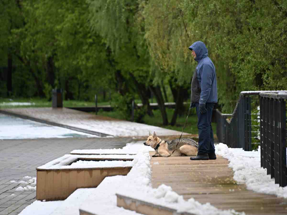 Ледяные осадки и перепады температур: Россию ждет одна из самых аномальных зим в истории