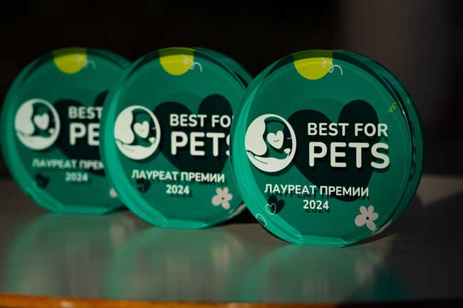 В Москве пройдет Премия Best for Pets — событие, вдохновляющее заботиться о питомцах