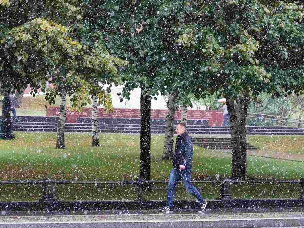 Выпавший снег в день Сергея Зимнего – к ранней зиме: на какие еще приметы обратить внимание 20 октября