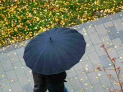 Какая погода будет в Москве во второй половине ноября: синоптики говорят об очередных аномалиях