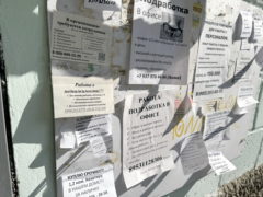 От «быстрых денег» до пенсионных льгот: названы самые распространенные темы из объявлений мошенников