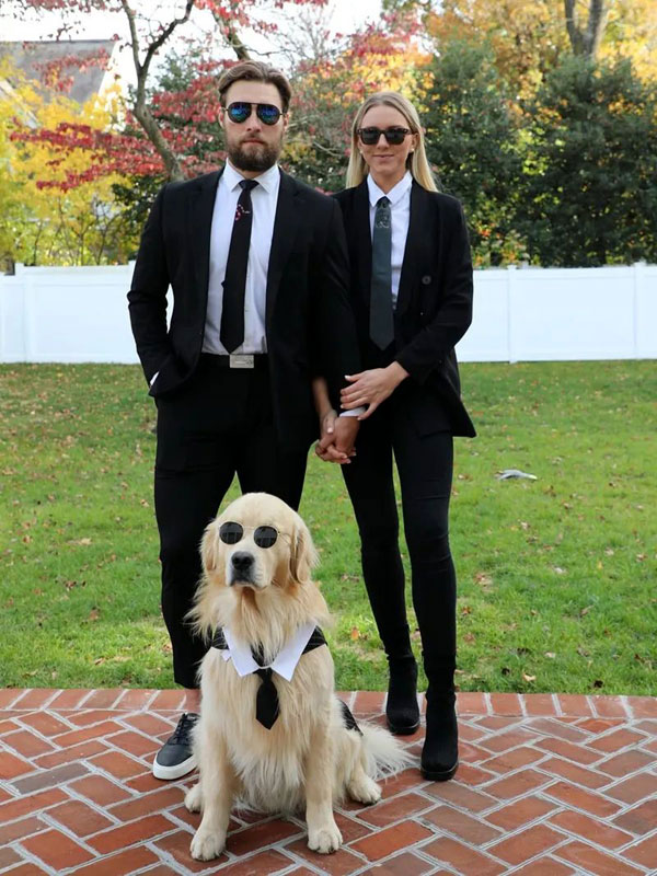 «Проворовы