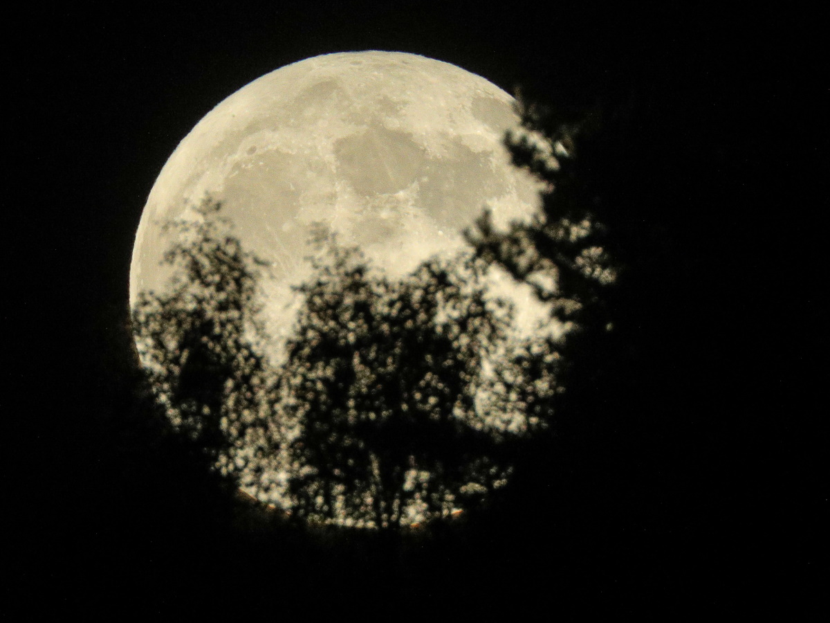 Земля во власти «Луны Охотника»: что можно и нельзя делать 5 ноября