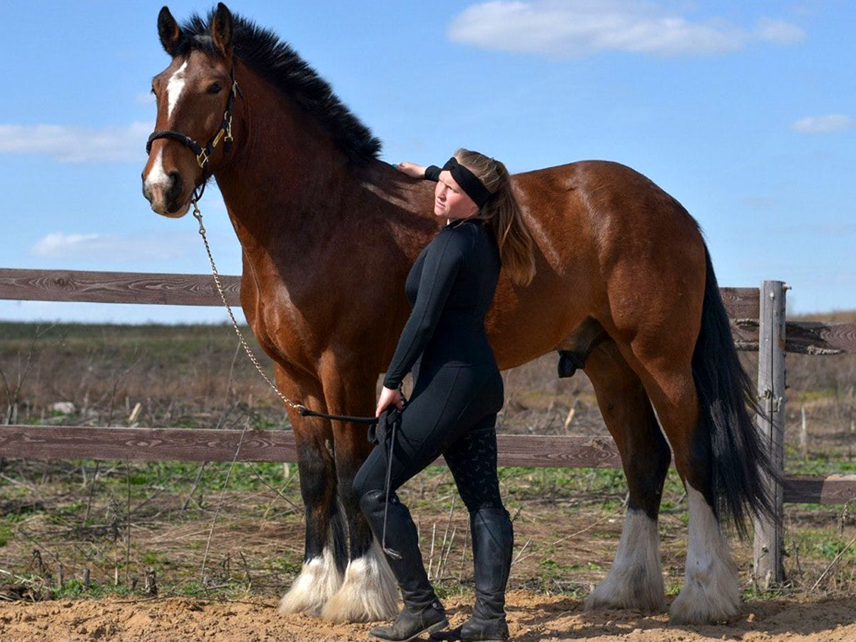 Анастасия Елизарова