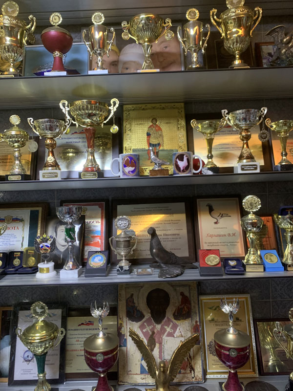 «Голубеводство»