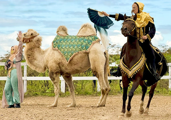 Конюшня «Шанс на жизнь»