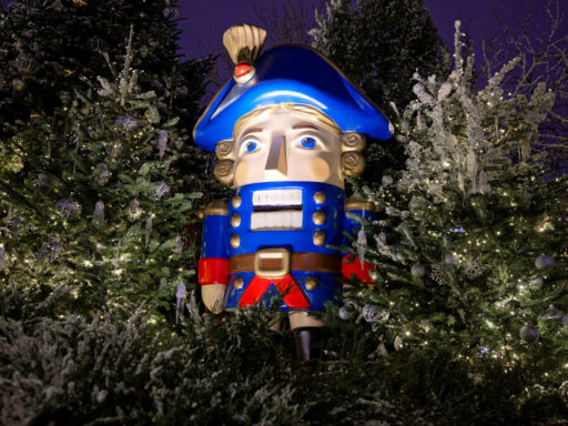 «Щелкунчик»