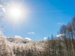 Экстремальные холода и отложенная оттепель: прогноз погоды в Москве на февраль