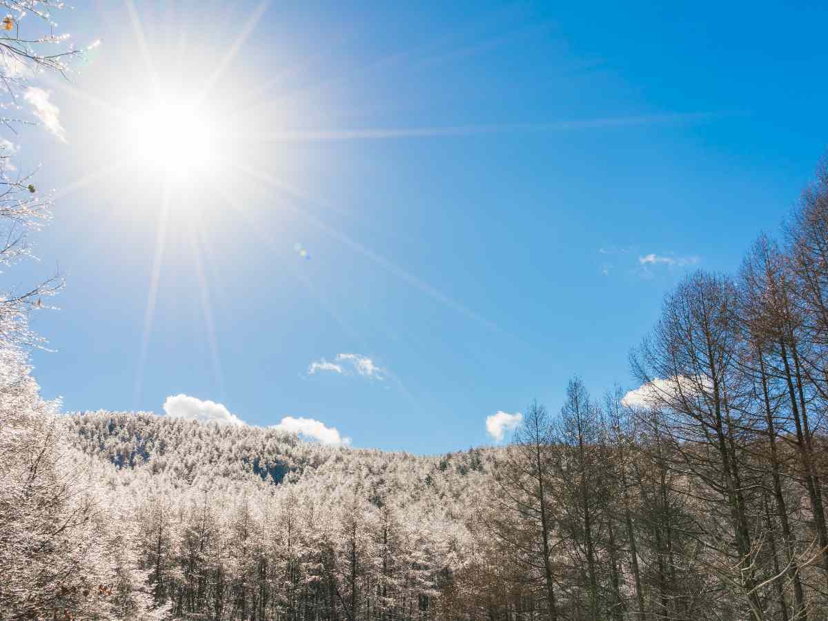 Экстремальные холода и отложенная оттепель: прогноз погоды в Москве на февраль