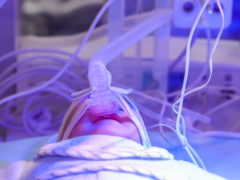 Оторванная рука, жуткие раны на головках: 9 младенцев умерли в роддоме Новокузнецка во время новогодних праздников