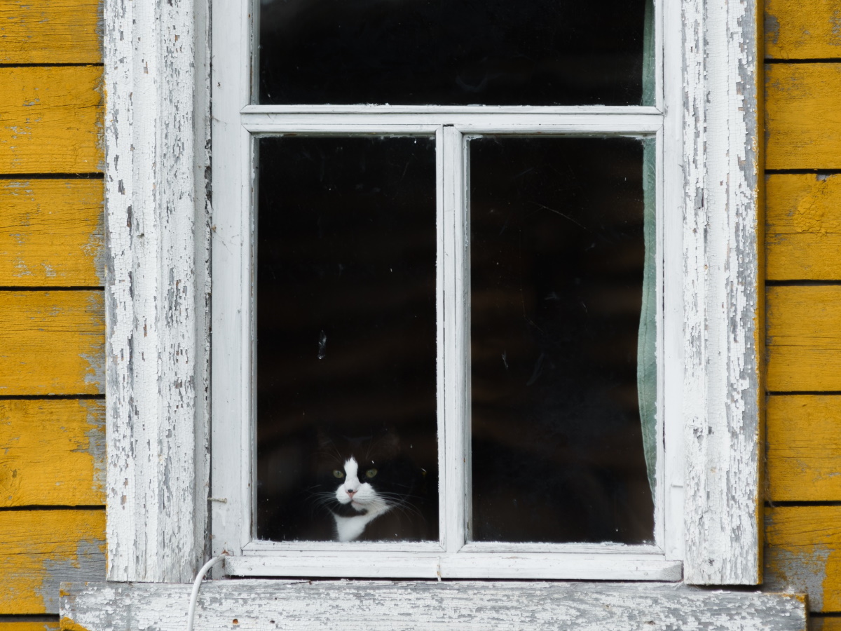 Семь лет неудач, бедности и болезней: что нельзя делать в Ермилов день 26 января