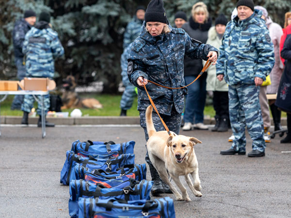 «Служебные